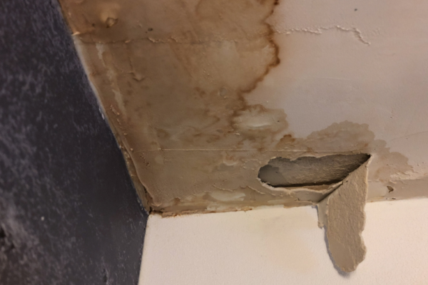 leak-detection-service-rodeoworx-gauteng-south-africa expert-plumber-finding-underground-leak-with-specialized-equipment